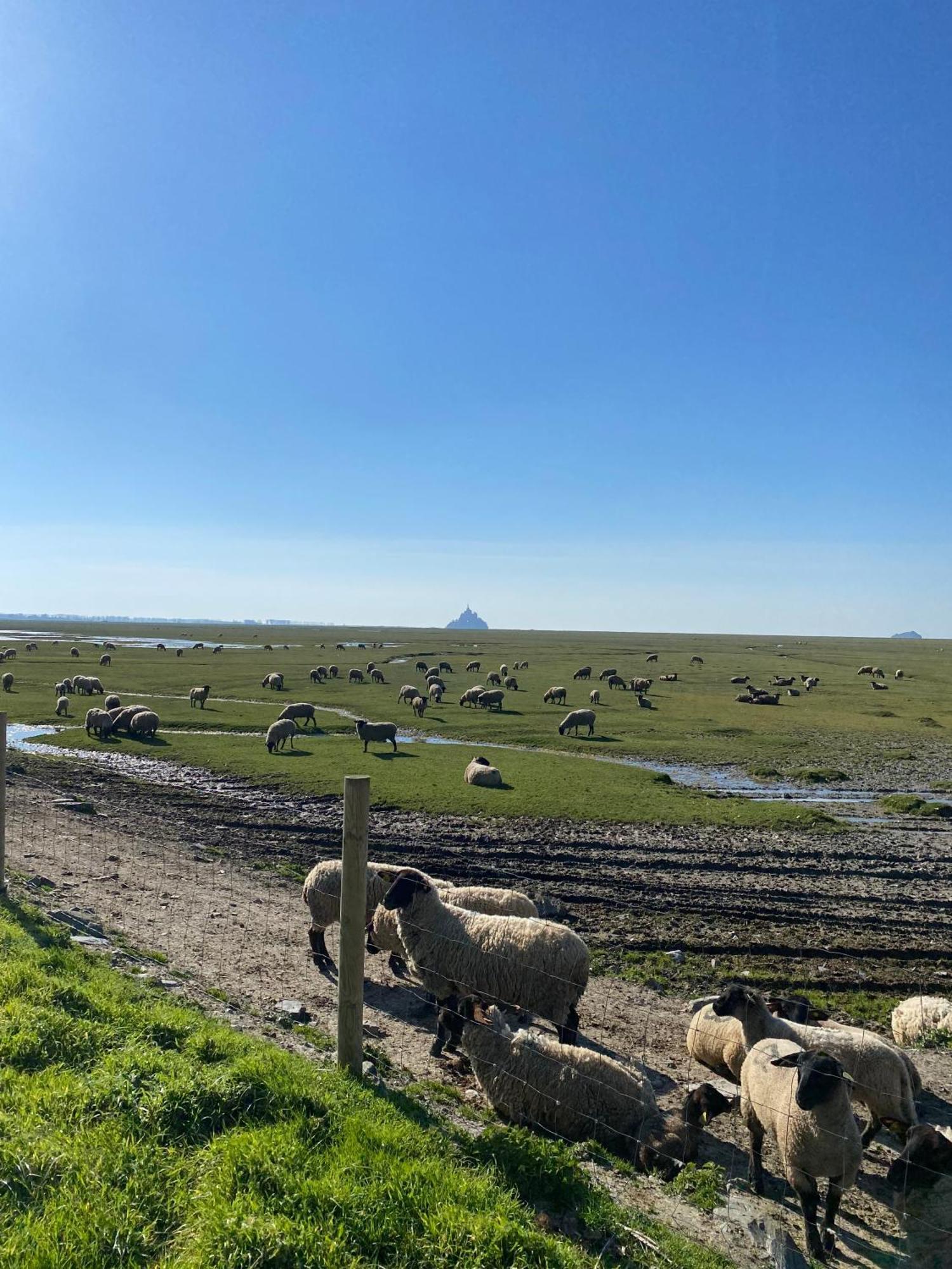 Le Relais De La Hardiesse 6Km Mont St Michel - Chambres Doubles - Suite Spa Privatif Courtils Buitenkant foto